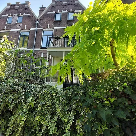 3rd Floor Loft In Historical Dordrecht
