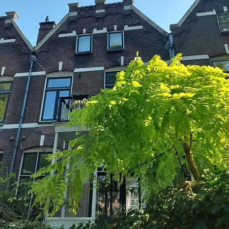 Appartement 3rd Floor Loft In Historical