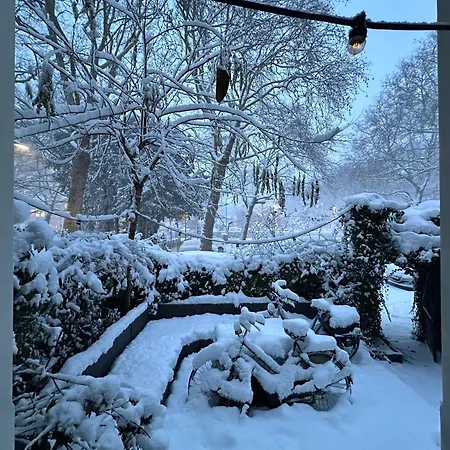 3rd Floor Loft In Historical